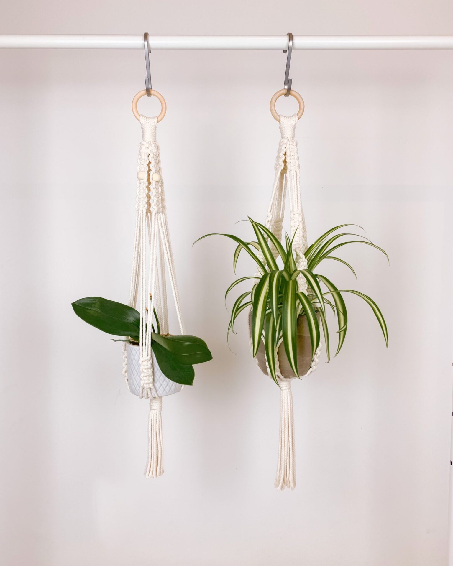 Handgemachte grüne Macrame-Pflanzenhänger mit Topfpflanze hängen